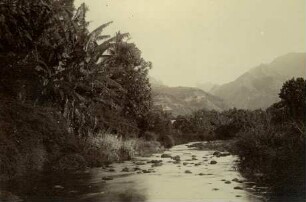 "Fautana - Fluß u. Diadem. Tahiti"