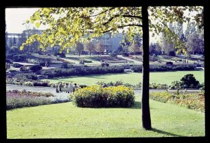 Sommergarten 20.10.63.
