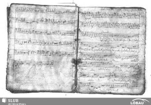 Bütner, Crato: Siehe es hat überwunden der Löwe