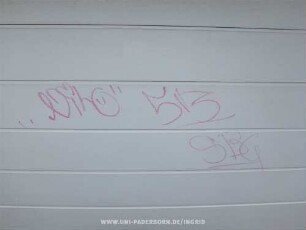 "NitrO" 513 SBG