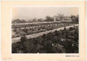 Reichsgartenschau 1939 auf dem Killesberg, Stuttgart: Staudenvergleichsschau