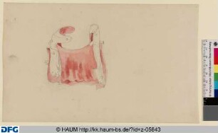 Rote Sattelstudie