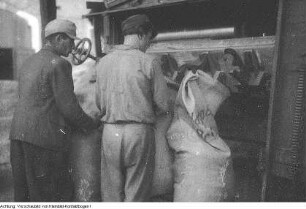 Guttau-Brösa, Ernte, 1947