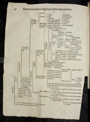 Tabula primæ Qualitatis divisionem continens.
