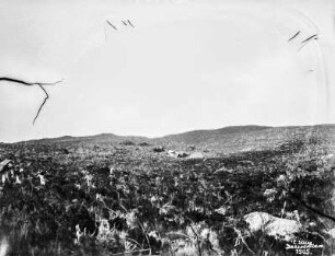 Steppe im Hochland : Eine Steppe mit Grasvegetation, vermutlich nahe des Kilimandscharo Bergmasssiv
