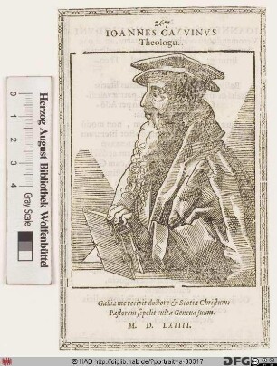 Bildnis Johannes Calvin (eig. Jean Cauvin)