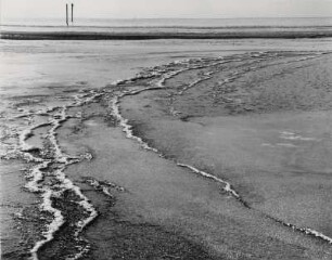 Winterliche Spuren und Eisstrukturen am Wasser