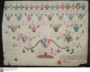 Ahnenprobe des Johann Philipp Friedrich Marius Christoph Erdmann v. Steube. - ausgefertigt 1802 September 13, Pergament