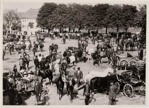 Buttstädter Pferdemarkt, um 1890