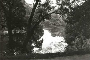Schlosspark, Bad Muskau