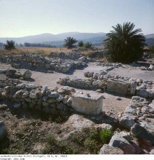 Israel: Megiddo