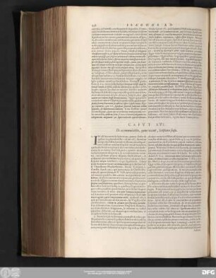 Caput XVI. De accomodatitio, quem vocant, Scripturae sensu.