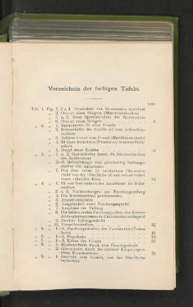 Verzeichnis der farbigen Tafeln.