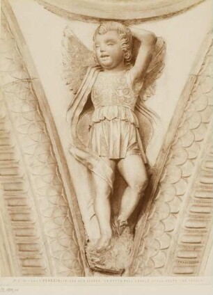 Putto im Gewölbezwickel (15. Jahrhundert), San Giobbe, Venedig