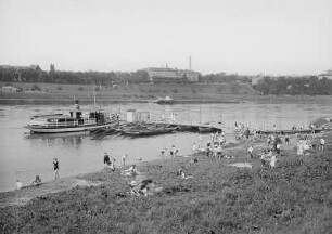 Dresden. Blick vom Altstädter Elbufer über die Elbe mit Elbfähre zur Waldschlößchenbrauerei. Ansicht mit Badetreiben bei "Antons"
