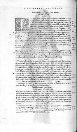 Historia Trigesima Prima. De Umbria