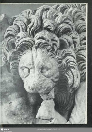 34 La frise nord: La tête de lion (détail)
