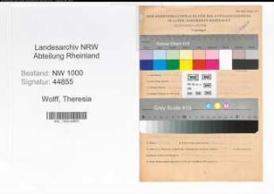 Entnazifizierung Theresia Wolff, geb. 18.12.1904 (Postsekretärin)