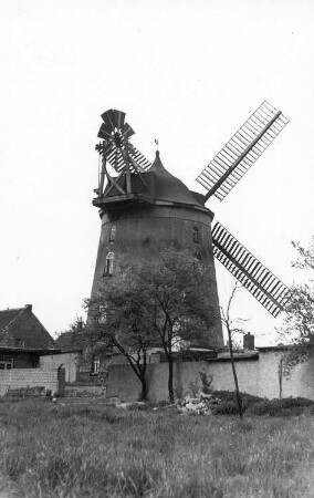 Mühlberg/Elbe-Koßdorf. Wallholländer, Baujahr 1912