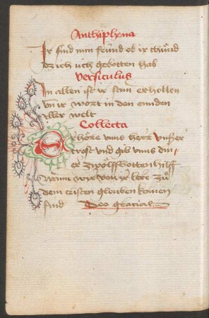 Fleuronnée-Initiale E (mit ergänzten Rankenausläufern, Federzeichnung)