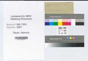 Entnazifizierung Heinrich Sauer, geb. 23.07.1894 (Obersteuerinspektor)