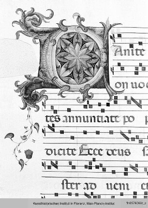 Buchseite mit Text, Neumen sowie Rankeninitiale D - Corale