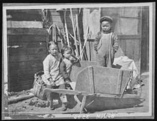 A Chinese Automobile