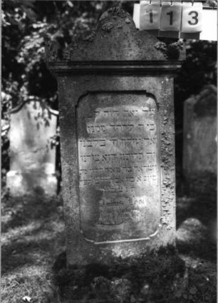Grabstein 113 (Index: 99789956) Material: Sandstein Zustand: leicht verwittert im unteren Teil mit leichtem Textverlust Maße HxBxT: 117x52x19 cm: Grabstein 113