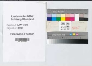 Entnazifizierung Friedrich Petermann , geb. 21.01.1910 (Arzt)
