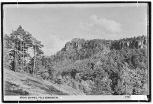 Sächsische Schweiz. Bärenstein