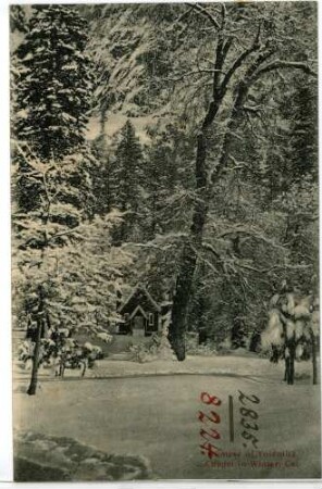 Glimpse of Yosemite Chapel in Winter, Cal.