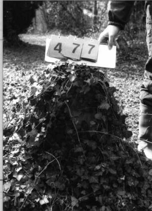 Grabstein 477 (Index: 100093141) Maße HxBxT: 50x30x19 cm Besonderheit: Kindergrab: Grabstein 477