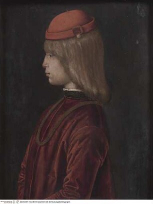 Bildnis des jungen Guidobaldo di Montefeltro