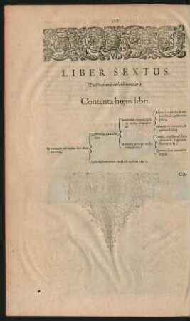 Liber Sextus. De Creaturis coeli elementaris.