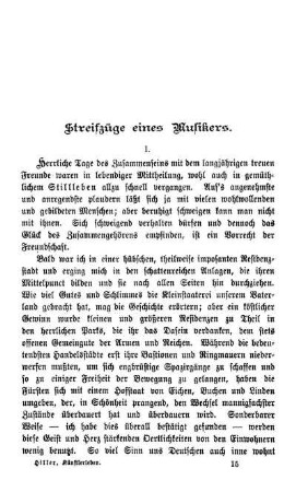 Streifzüge eines Musikers