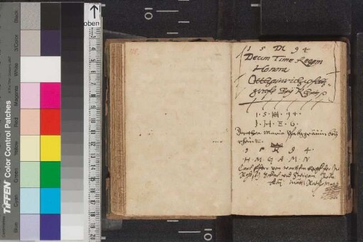 Ottheinrich, Pfalz-Sulzbach, Pfalzgraf; Seite 119, 1. Eintrag