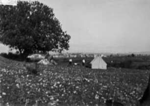 Zelte : Zelte auf einer Wiese unter einem Baum. Im Hintergrund eine Stadt