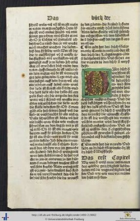 Das buoch Sapientie