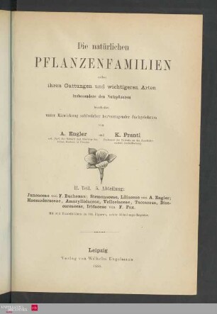 Teil 2 : Abteilung 5: Juncaceae, Liliaceae ...