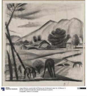 Landschaft mit Pferden bei Sindelsdorf