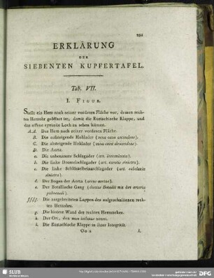 Erklärung Der Siebenten Kupfertafel