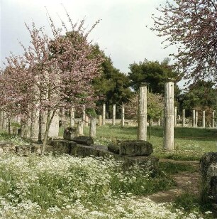 Olympia. Heiligtum (Altis)