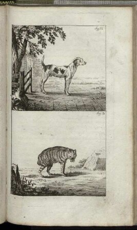 Fig. 32. - Fig. 33.