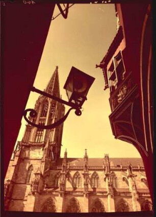 Das Freiburger Münster