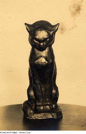 Katze
