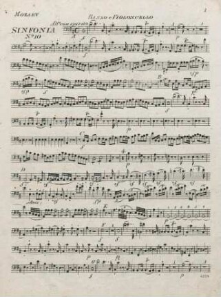 Basso e Violoncello