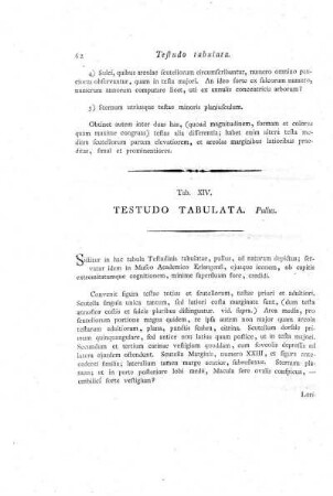 Tab. XIV. Testudo Tabulata.