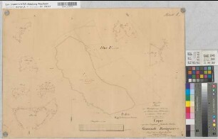 Böingsen (Menden), Hudebefreiung der v. Dükerschen Waldungen, Bl.1 Brouillonkarte