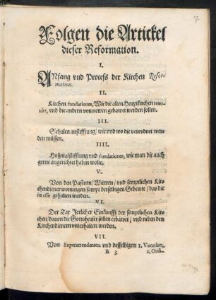 Folgen die Artickel dieser Reformation.