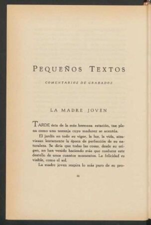 Pequeños textos : Comentarios de grabados